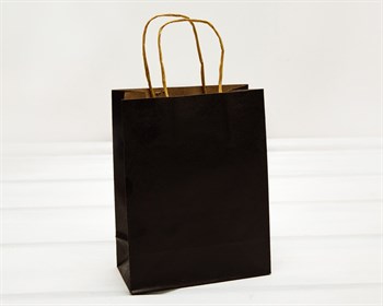 Пакет подарочный, 19х15х7,5 см, с кручеными ручками, черный У0702010 - фото 10779