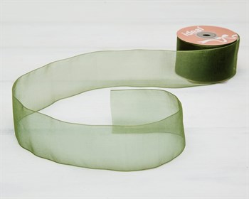 Лента капроновая, 50 мм, зеленая, 1 м У0516011 - фото 11409