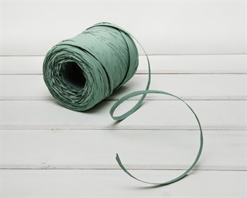 Рафия искусственная, нежно-зеленая, 3 м У0560013 - фото 6969