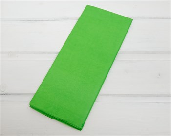Бумага тишью, зеленое яблоко, 50х66 см, 10 шт. У0201018-П - фото 7263