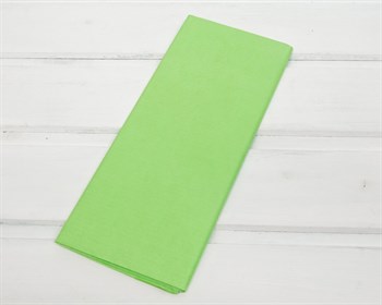 Бумага тишью, салатовая, 50х66 см, 10 шт. У0201012-П - фото 7268