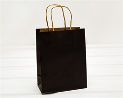 Пакет подарочный, 19х15х7,5 см, с кручеными ручками, черный У0702010