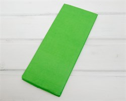 Бумага тишью, зеленое яблоко, 50х66 см, 10 шт. У0201018-П