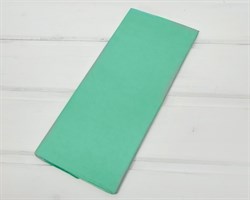 Бумага тишью, светло-бирюзовая, 50х66 см, 10 шт. У0201013-П