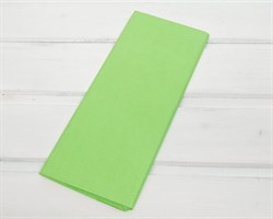 Бумага тишью, салатовая, 50х66 см, 10 шт. У0201012-П