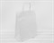 Пакет бумажный, 35х26х14 см, с кручеными ручками, белый У0703036 - фото 10802