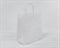 Пакет бумажный, 25х22х12 см, с кручеными ручками, белый У0703034 - фото 11601