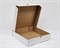 Коробка из плотного картона 31х31х7 см, белая У0104249 - фото 13599