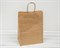 Пакет бумажный, 35х26х14 см, с кручеными ручками, коричневый У0701008 - фото 5877