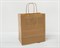 Пакет бумажный, 25х22х12 см, с кручеными ручками, коричневый У0703017 - фото 8523