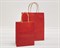 Пакет подарочный, 19х15х7,5 см, с кручеными ручками, красный У0702008 - фото 9582