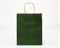 Пакет подарочный, 26х21х10 см, с кручеными ручками, зеленый У0702005 - фото 9958